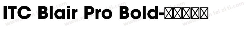 ITC Blair Pro Bold字体转换